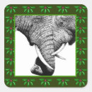 Search for elephant trunk stickers Animal