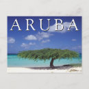 Search for eagle stuff postcards Ocean
