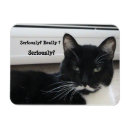 Search for moustache jokes White