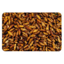 Search for worm magnets Bug