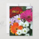 Search for daisy thank you cards Bouquet