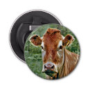 Search for cow bottle openers Cute
