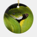 Search for snake christmas tree decorations Scale