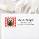Search for family pet return address labels Cat