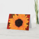 Search for giant birthday cards Photography