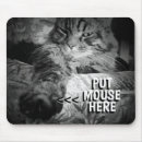 Search for play on words electronics Kitty