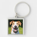 Search for getty key rings Dogs