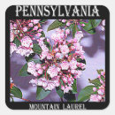 Search for mountain laurel stickers Connecticut