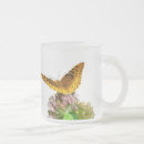 Search for milkweed mugs Insect