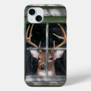 Search for buck iphone cases Wildlife