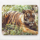 Search for jungle cats mouse mats Wild animals