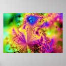 Search for cgi posters Fractal