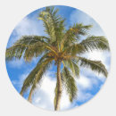 Search for bahamas island stickers Palm tree