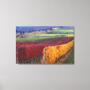 Search for wine vineyard canvas prints Autumn