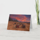 Search for sahara cards Egypt
