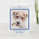 Search for poop cards From the dog