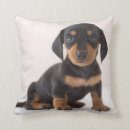 Search for dachshund nursery decor Baby