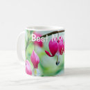 Search for bleeding hearts mugs Nature
