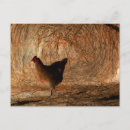 Search for enhance postcards Photograph