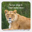 Search for big animal stickers Back to school