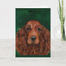 Search for mahogany cards Mahogany red chestnut dog