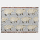 Search for capybara blankets Wildlife