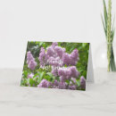Search for april birthday cards Flowers