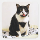 Search for stick out stickers Tongue