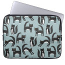 Search for kitty cases Animal
