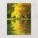 Search for autumn forest postcards Beauty