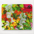 Search for nasturtium mouse mats Gardening