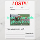 Search for missing the flyers Cat