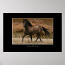 Search for mustangs art Horses
