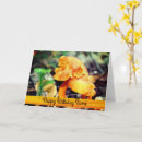 Search for mushroom birthday cards Forest