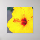 Search for macro flower art Yellow