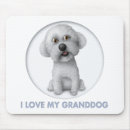 Search for bichons mouse mats Frise