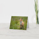 Search for wildlife note cards Stationary