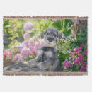 Search for schnauzer blankets Cute