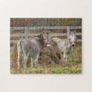 Search for donkey puzzles Rural