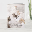 Search for crazy cat lady cards Cute