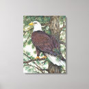 Search for eagle canvas prints Leaves