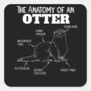 Search for cute otter stickers Animals