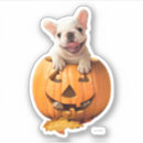 Search for cute halloween dog stickers Pets