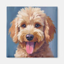 Search for poodle puppy magnets Doodle