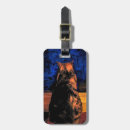 Search for tortie accessories Kitten