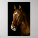 Search for thoroughbred art Chestnut