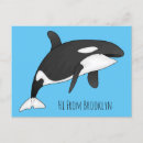 Search for killer postcards Orcinus orca