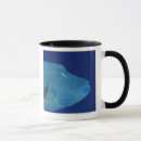 Search for seafood mugs Nature