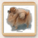 Search for pom dog barware Pets