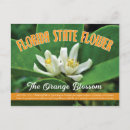 Search for orange blossoms postcards Botanical